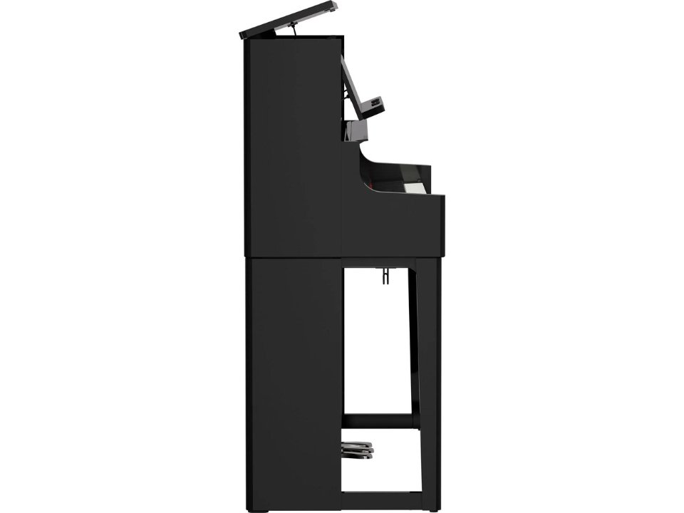 ROLAND LX-9 PE - Góc nhìn thực tế 6